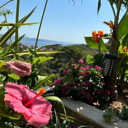 T4 - Terrasse Vue Calanques De Figuerolles & Daire La Ciotat